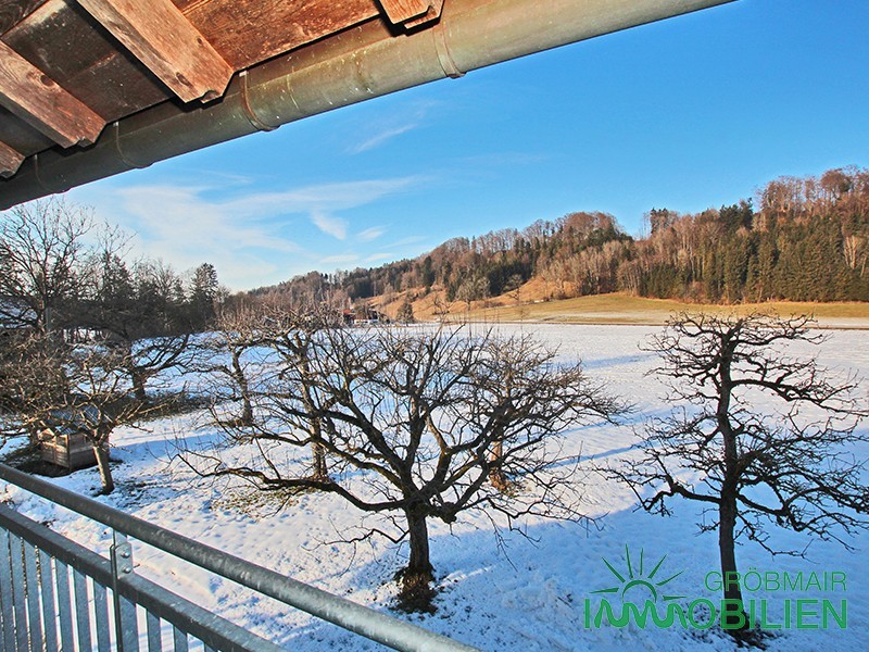 Ausblick - Charmante Landhauswohnung auf zwei Ebenen im idyllischen Weiler